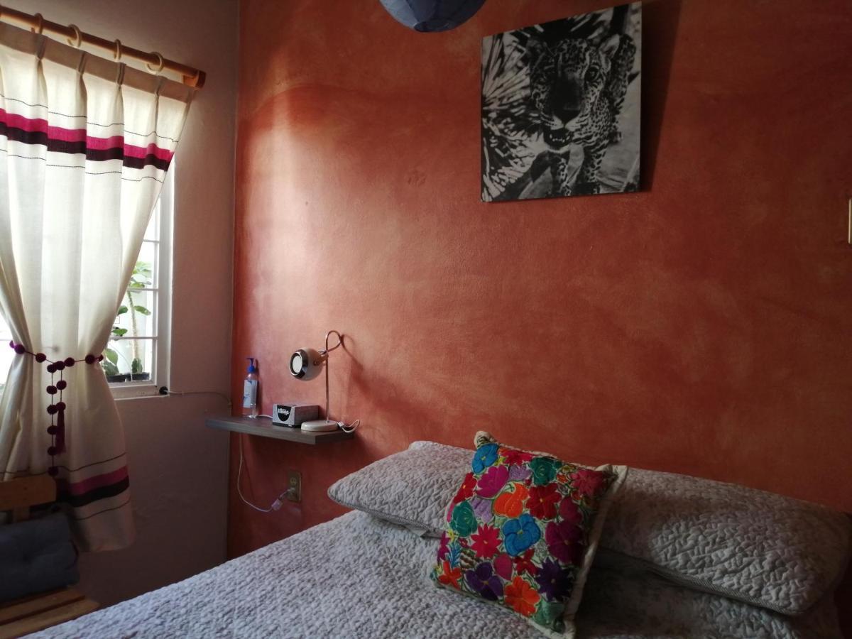 Casa Mixteca Santo Domingo Oaxaca Villa ภายนอก รูปภาพ
