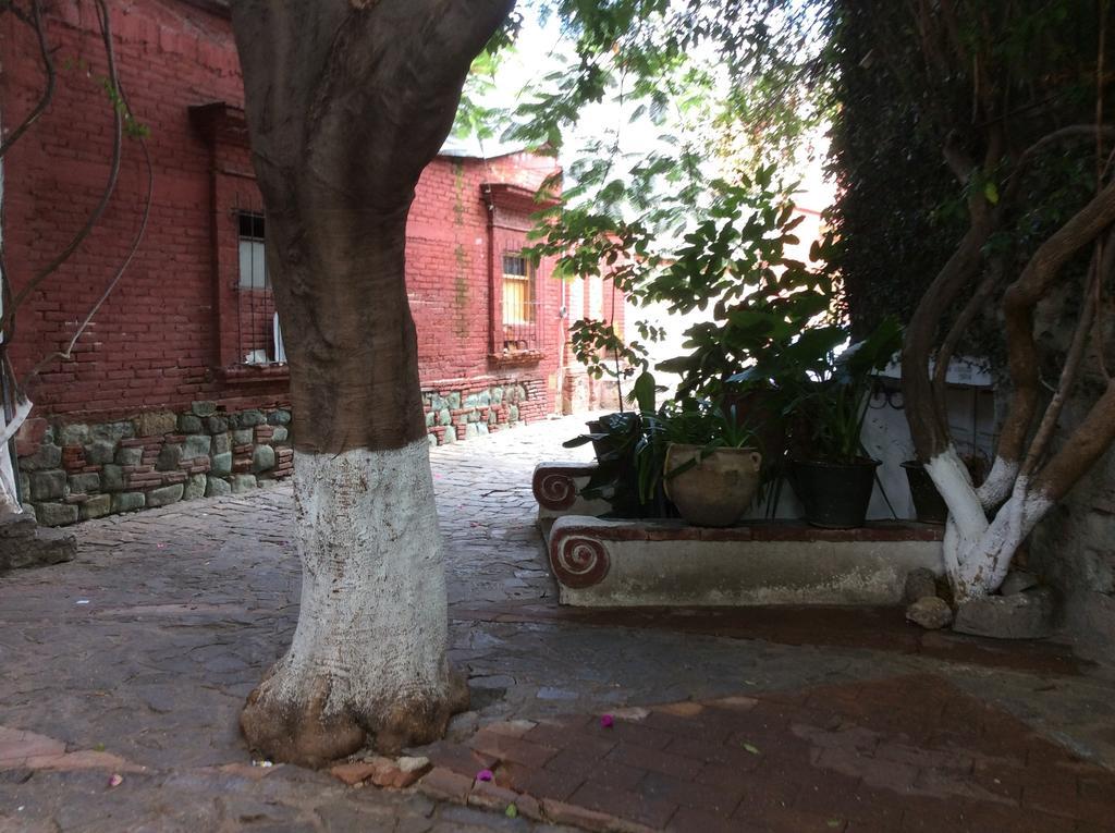 Casa Mixteca Santo Domingo Oaxaca Villa ภายนอก รูปภาพ