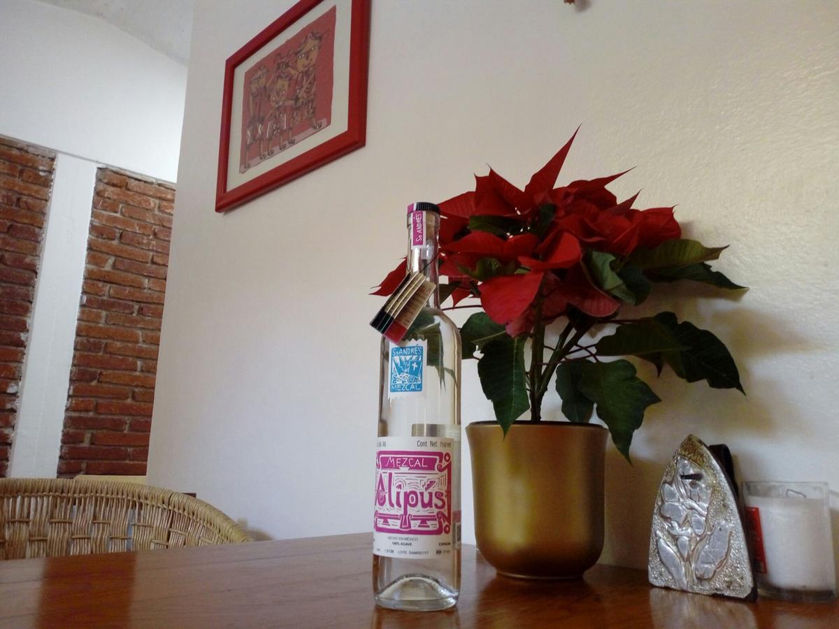 Casa Mixteca Santo Domingo Oaxaca Villa ภายนอก รูปภาพ