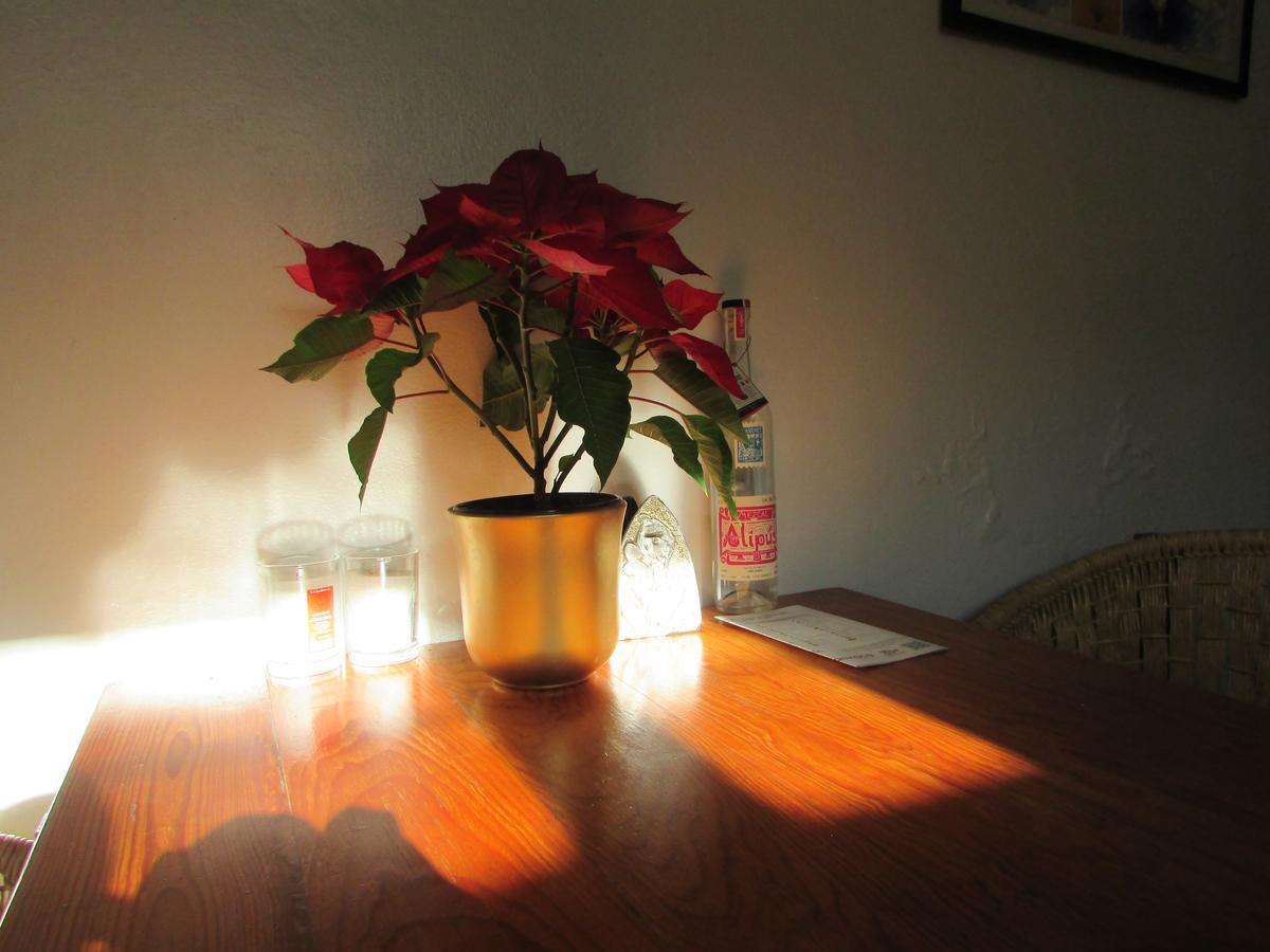 Casa Mixteca Santo Domingo Oaxaca Villa ภายนอก รูปภาพ
